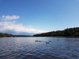 Vättlefjäll