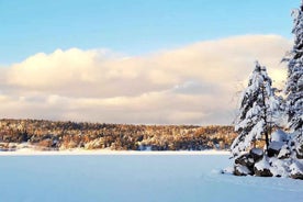 Oslo: Scenic Winter Hike with Guide and Dog