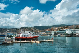 Photo of beautiful landscape of panoramic aerial view port of Genoa in a summer day, Italy.