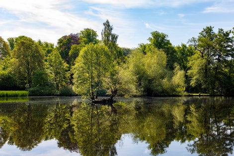 Photo of lush trees and foliage around a pond in Slottsskogen park in Gothenburg, Sweden.
