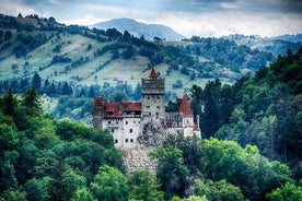 Tour di un'intera giornata al Castello di Dracula, Brasov e Peles da Bucarest