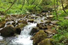 Excursión a Mavrovo, la cascada Duf y el monasterio Bigorski desde Skopje