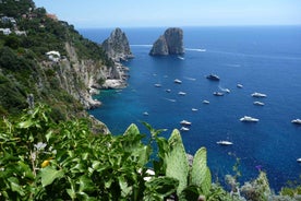 From Positano, Praiano, or Amalfi: Capri Full-Day Boat Tour