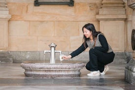 Frá Prag: Einn dagur í Karlovy Vary