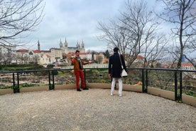 Access to a Self-Guided Tour of the archaeological site of Lyon