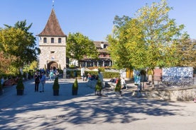 Tur til Rheinfall fra Zürich