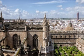 Barrio de Santa Cruz & Seville Cathedral private guided tour