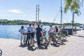 Visite privée : visite de Stockholm en vélo, comprenant les îles de Kungsholmen, Långholmen et Södermalm