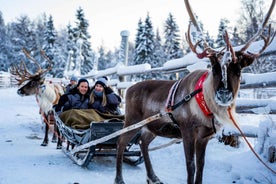 Rovaniemi: Santa Claus Village, Sleðar með Hjólhundum og Hreindýrum