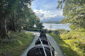 Killarney Carriage Tours National Park and Lakes