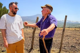 Etna Food and Wine Tour from Taormina and Catania