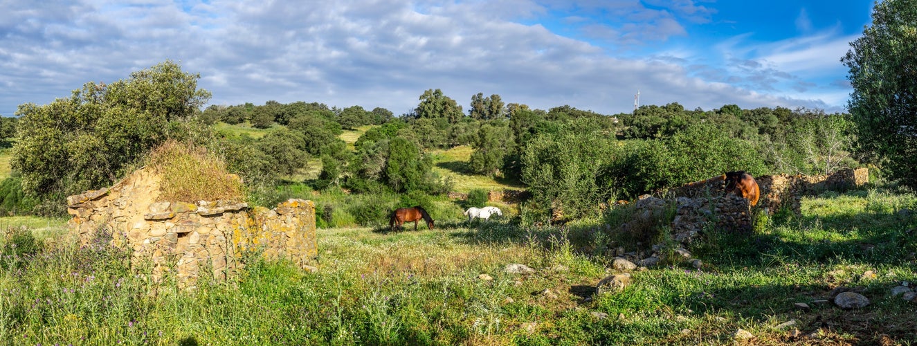 typical rural tool cabin, El Pozuelo, municipal district of Zalamea la Real, Huelva, Andalusia, Spain