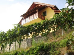 Vineyard cottage Podržaj