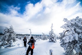 Fototocht per sneeuwscooterslee