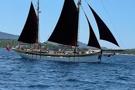 Viagem de um dia à vela no Tall Ship Andrea Jensen com almoço e vinho