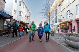 Tour privato a piedi per shopping e visite turistiche di Reykjavik