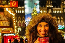 Visita al mercado navideño de Viena con guía local privado