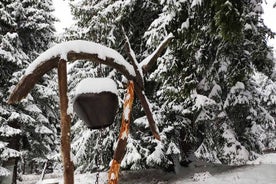 Raquetas de nieve privadas Vitosha por 1 día