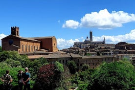 PRIVÉTOUR: bezoek Siena en Chianti met lunch- en wijnproeverijervaring