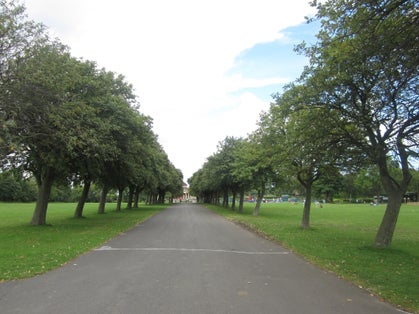 Photo of Tree-lined path in Exhibition Park, UK.