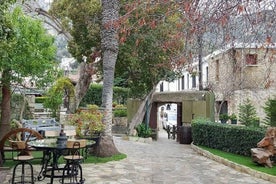 Small Group Tour of Nicosia and Kyrenia from Nicosia