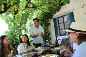 Porto: Douro Valley with Lunch in a Winery and Boat Tour