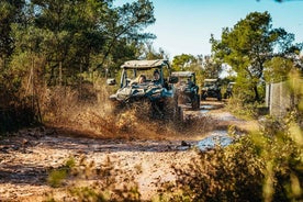 Palma de Mallorca: Off/On Road Buggy Tour with 2 or 4 Seater