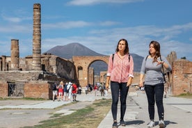 Gita privata di un giorno a Pompei ed Ercolano con biglietti