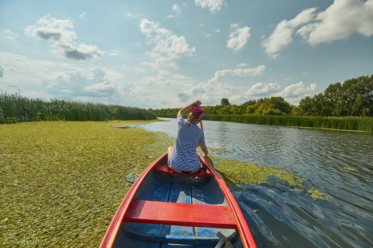 shutterstock_2311502157.jpg