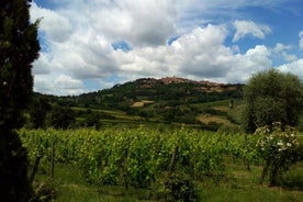 Montalcino e Pienza Tuscany Wine & Cheese ShoreExcursão do porto de Civitavecchia