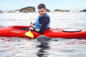 Dublin Bay Seal Kayaking Safari at Dalkey