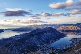 Þjóðgarðar og vínsmökkun (NP Lovcen, NP Skadar vatnið, Cetinje, Njegusi)