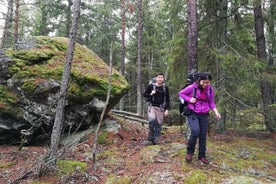 1-dags lítill hópur Stokkhólms náttúru vetrargöngur