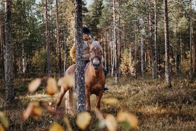 Rovaniemi: Riding Tour with Finnhorses at SCV