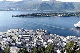 Ålesund havn, flyplass og by privat transport