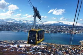 Arctic Panorama cable car excursion