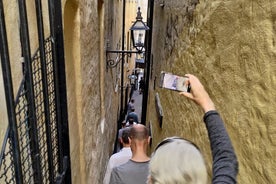 Stockholm Must See - Gamlebyen, båt + Vasamuseet 3t liten gruppe