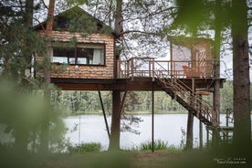 Treehouse Čiekurs