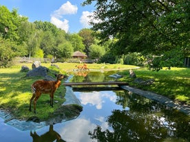 Prague Zoo