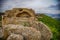 Thracian Rock-Hewn Sanctuary (Tatul), Momchilgrad, Kardzhali, Bulgaria