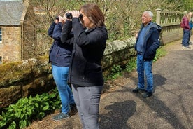 Wildlife, History, Nature Walking Tours from Edinburgh 