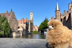 Brugge-tur fra Paris: Guidet privat tur og chokoladesmagning