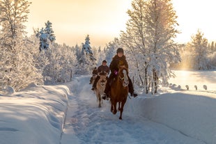 Ski holiday in Beitostølen with snow-covered high mountain