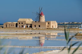 Erice & Marsala：盐、橄榄油和葡萄酒，含午餐