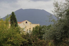 Guided Tour Of Vesuvius from Naples - Shared semi-private max 8 pax