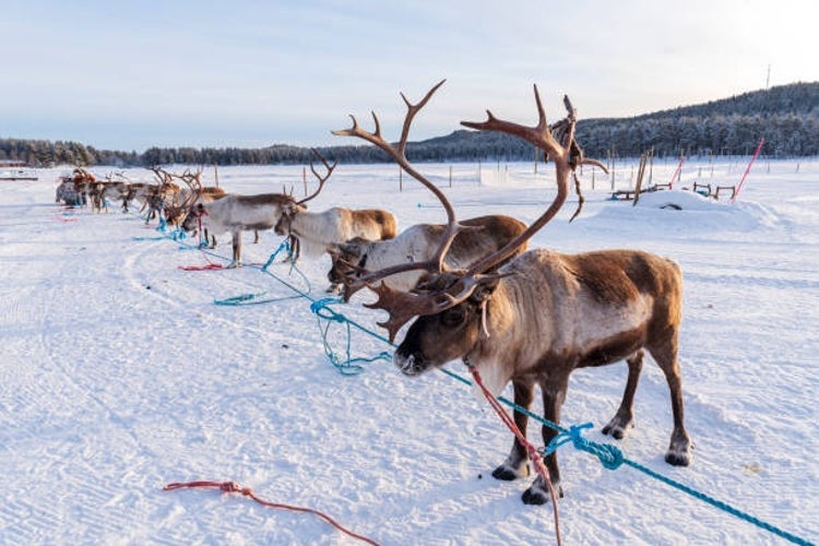 sami culture.jpg