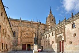  Private Tour in der Salamanca Universitaria