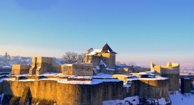 Vatra Dornei - city in Romania