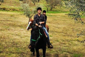 Horseback ride and Poolside Day chillout with Tuscan Lunch