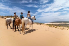 Algarve: 1 klukkustundar reiðferð á hestbaki í Carrapateira